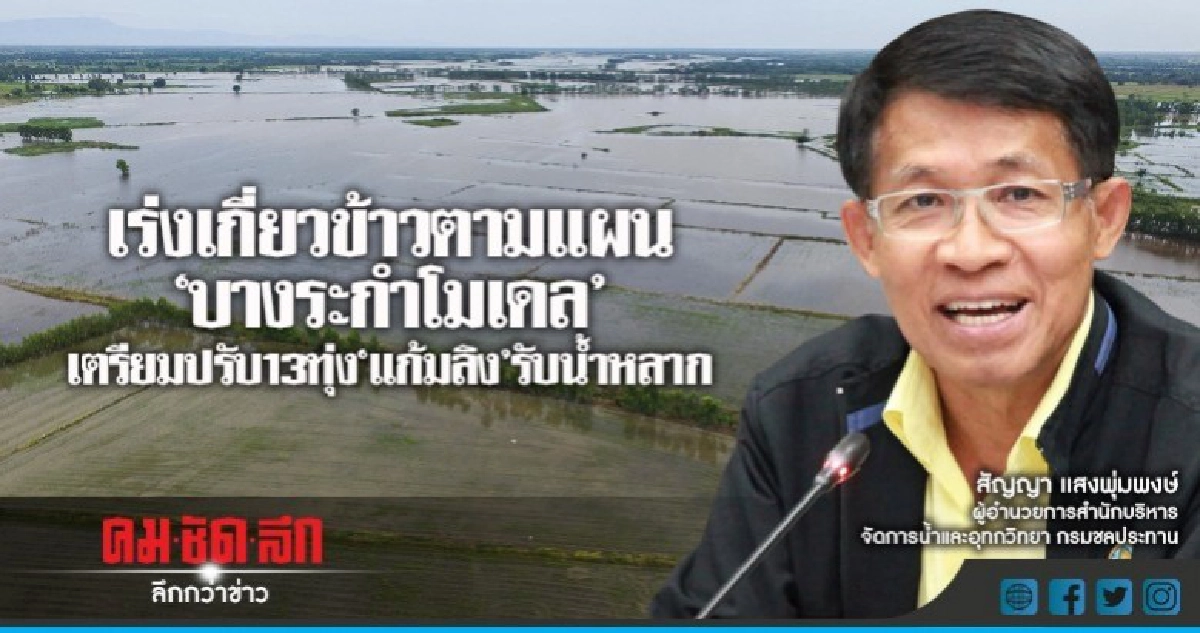 กรมชลฯ เตรียมปรับ13ทุ่ง"แก้มลิง"รับน้ำหลาก กรมชลฯ เตรียมปรับ13ทุ่ง"แก้มลิง"รับน้ำหลาก