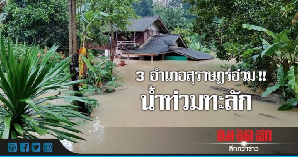 ชาวสุราษฎร์อ่วม ฝนกระหน่ำทะลักท่วม 3 อำเภอ 