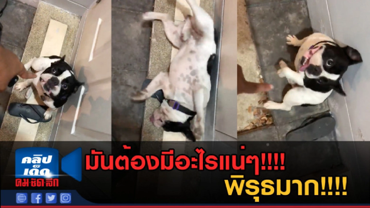 (คลิปข่าว) มันต้องมีอะไรแน่ๆ! พิรุธมาก! (คลิปข่าว) มันต้องมีอะไรแน่ๆ! พิรุธมาก!