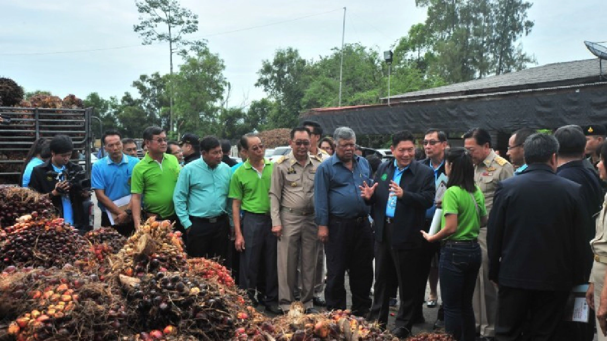 ก.เกษตรฯ มุ่งจัดทำยุทธศาสตร์การพัฒนาปาล์มน้ำมันในพื้นที่ทุ่ง