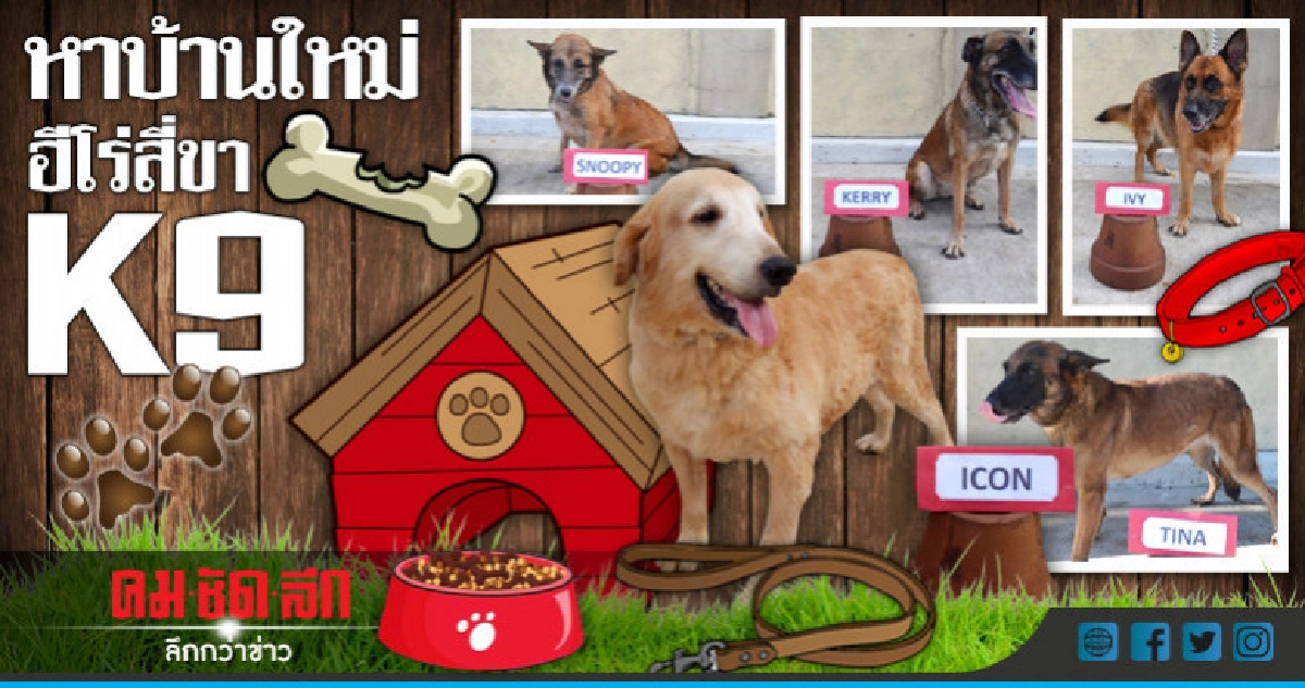 ฟิลิปปินส์ประกาศหาบ้านใหม่ให้สุนัขK9หลังเกษียณ   
