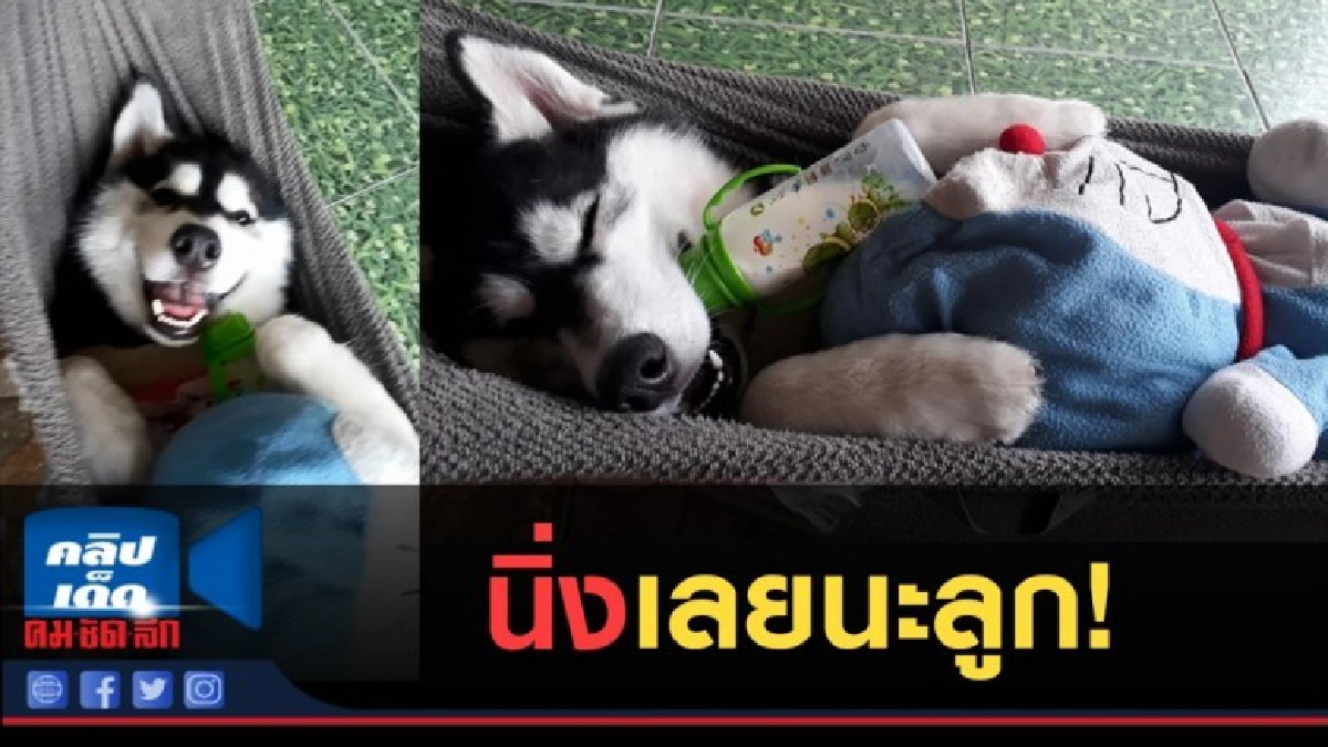 (คลิปข่าว) เจอนี่เข้าไป...นิ่งไปเลยนะลูก!