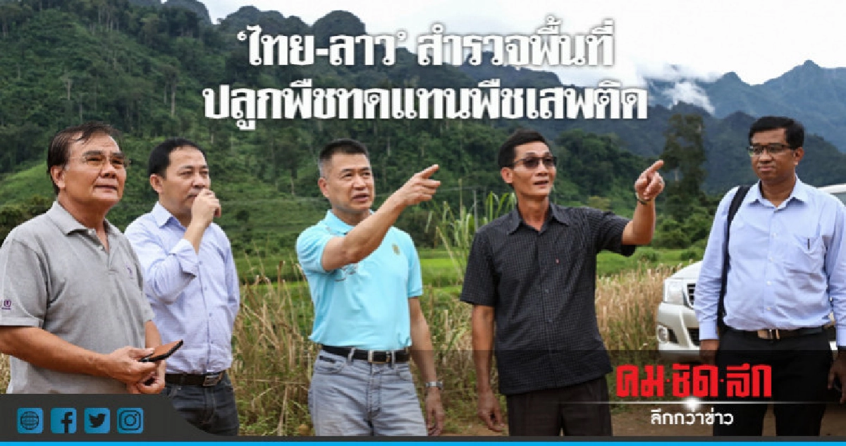 "ไทย-ลาว"สำรวจพื้นที่ปลูกพืชทดแทนพืชเสพติด "ไทย-ลาว"สำรวจพื้นที่ปลูกพืชทดแทนพืชเสพติด