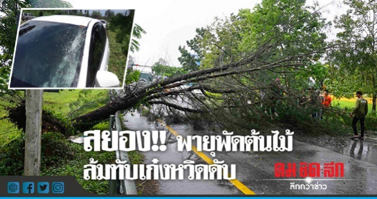 พายุพัดต้นไม้ล้มขวางถนนทับเก๋งเสียหาย