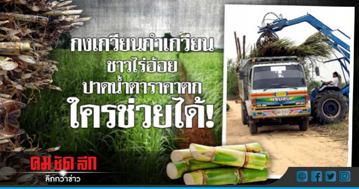 กงเกวียนกำเกวียน ชาวไร่อ้อย ปาดน้ำตาราคาตก ใครช่วยได้! กงเกวียนกำเกวียน ชาวไร่อ้อย ปาดน้ำตาราคาตก ใครช่วยได้!