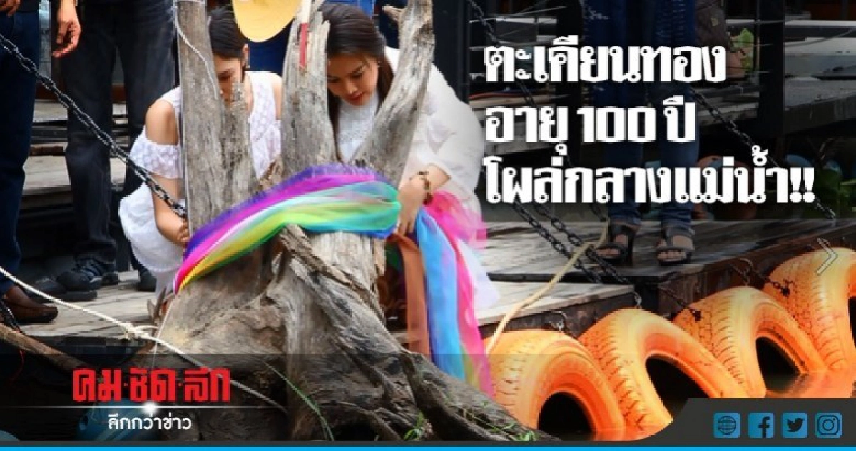 พบตะเคียนยักษ์โผล่กลางแม่น้ำแม่กลอง !! พบตะเคียนยักษ์โผล่กลางแม่น้ำแม่กลอง !!
