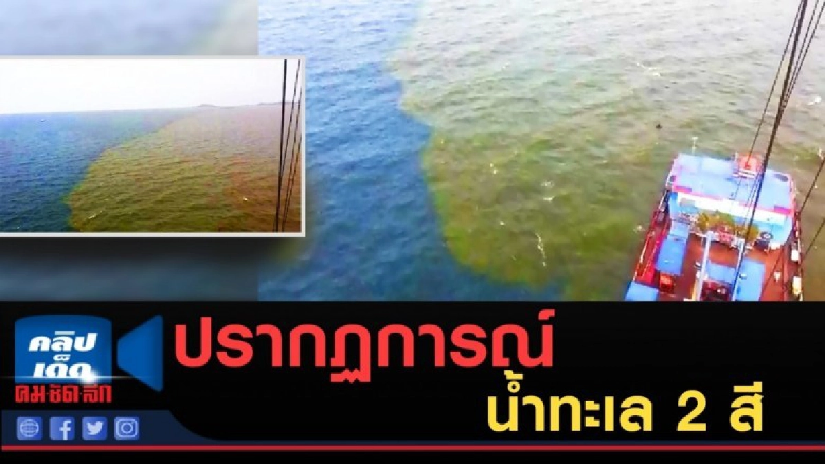 (คลิปข่าว) ปรากฏการณ์ น้ำทะเล 2 สี (คลิปข่าว) ปรากฏการณ์ น้ำทะเล 2 สี