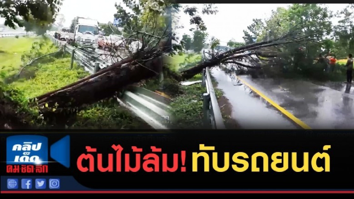 (คลิปข่าว) ต้นไม้ล้มทับรถยนต์ บนถนนเอเชีย 41 (คลิปข่าว) ต้นไม้ล้มทับรถยนต์ บนถนนเอเชีย 41