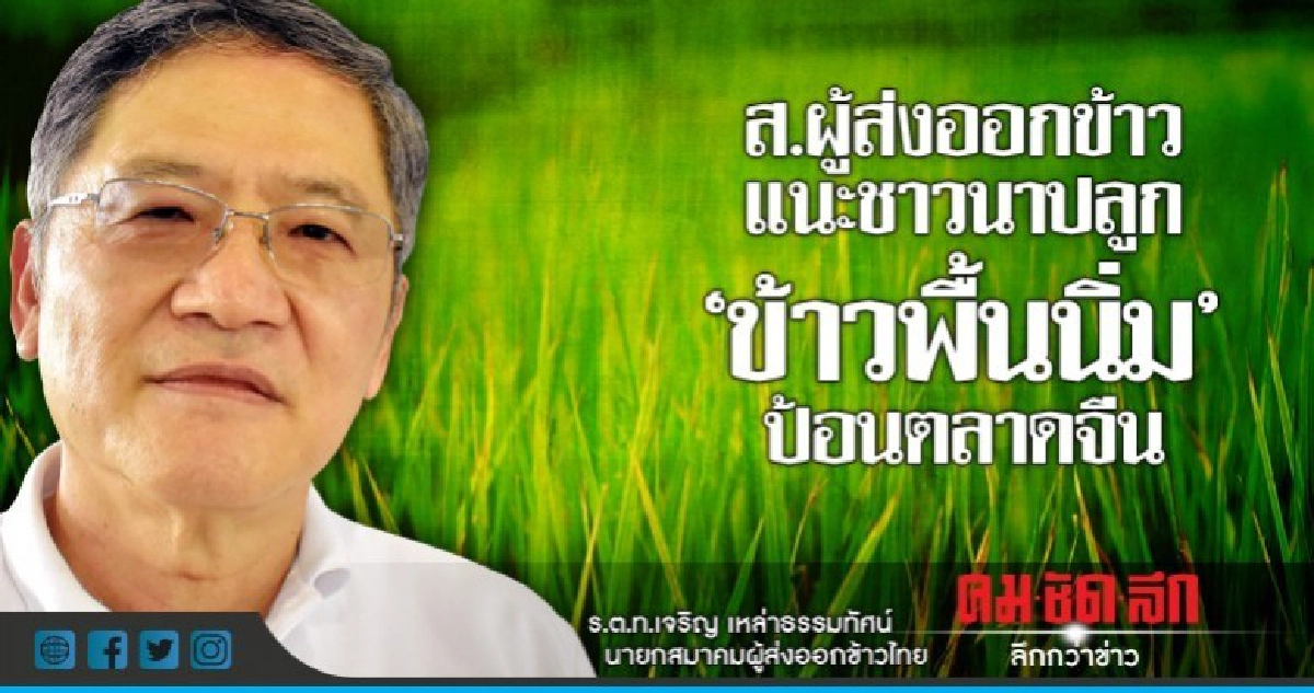 ส.ผู้ส่งออกแนะชาวนาปลูก"ข้าวพื้นนิ่ม"ป้อนตลาดจีน ส.ผู้ส่งออกแนะชาวนาปลูก"ข้าวพื้นนิ่ม"ป้อนตลาดจีน