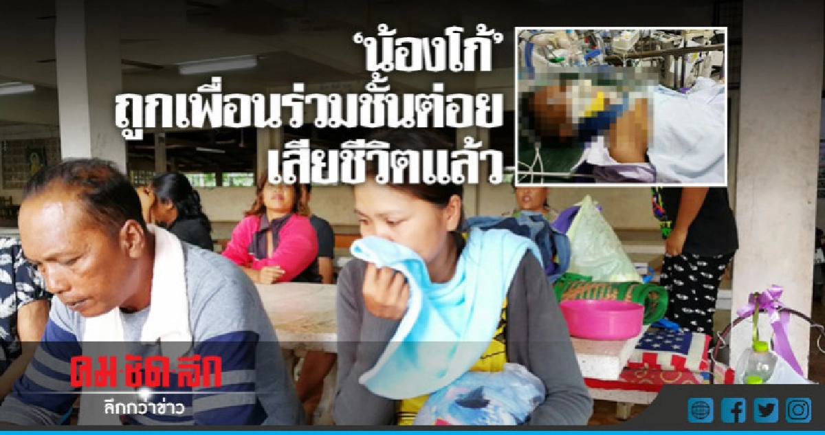 "น้องโก้" ถูกเพื่อนร่วมชั้นต่อย เสียชีวิตแล้ว "น้องโก้" ถูกเพื่อนร่วมชั้นต่อย เสียชีวิตแล้ว