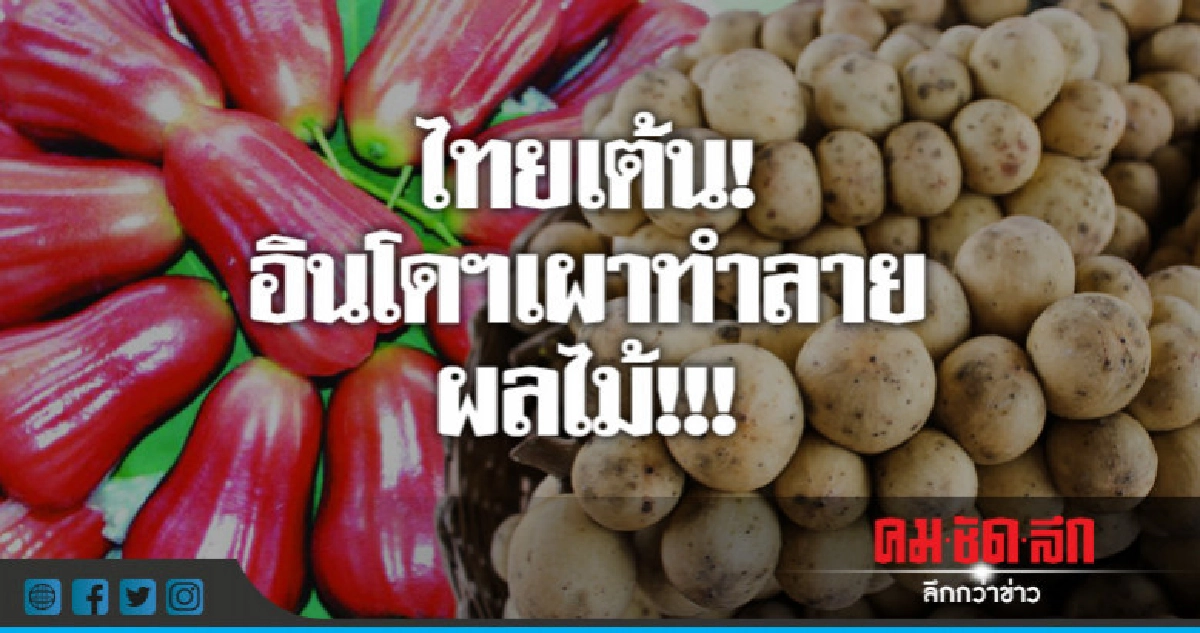 "กฤษฎา"สั่งเคลียร์ด่วนอินโดฯเผาทำลายผลไม้ไทย!!! "กฤษฎา"สั่งเคลียร์ด่วนอินโดฯเผาทำลายผลไม้ไทย!!!
