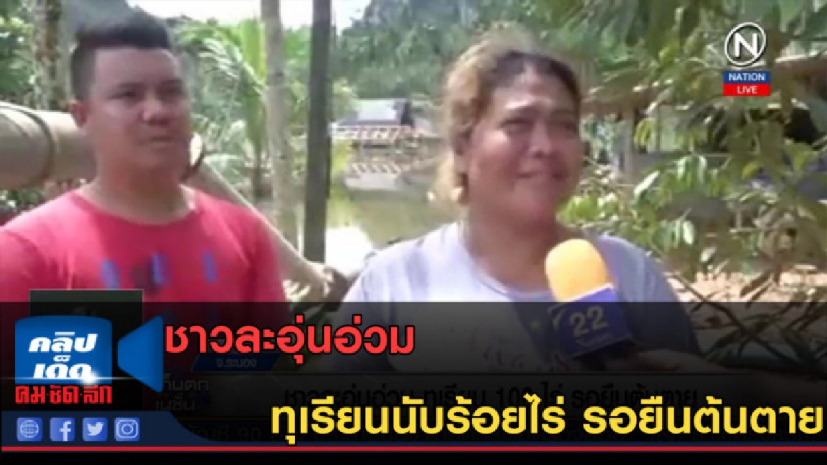(คลิปข่าว) ชาวละอุ่นอ่วม ทุเรียนนับร้อยไร่ รอยืนต้นตาย (คลิปข่าว) ชาวละอุ่นอ่วม ทุเรียนนับร้อยไร่ รอยืนต้นตาย