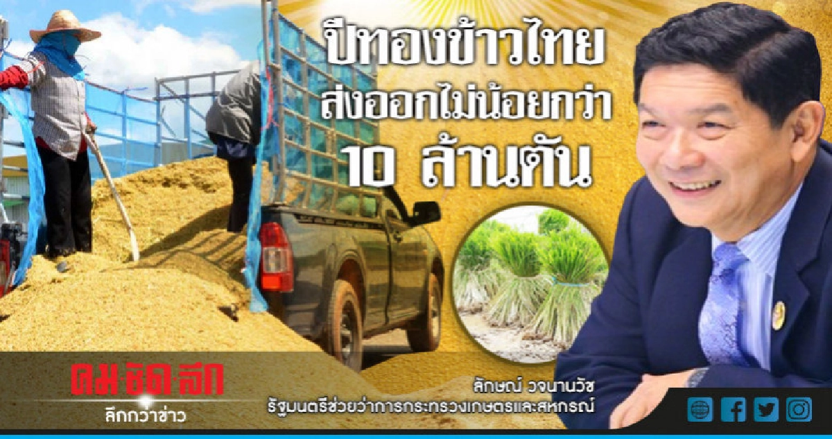 ปีทองข้าวไทยส่งออกไม่น้อยกว่า 10 ล้านตัน ปีทองข้าวไทยส่งออกไม่น้อยกว่า 10 ล้านตัน