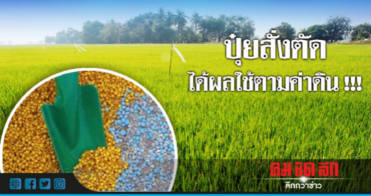  ปุ๋ยสั่งตัดได้ผลใช้ตามค่าดิน !!!