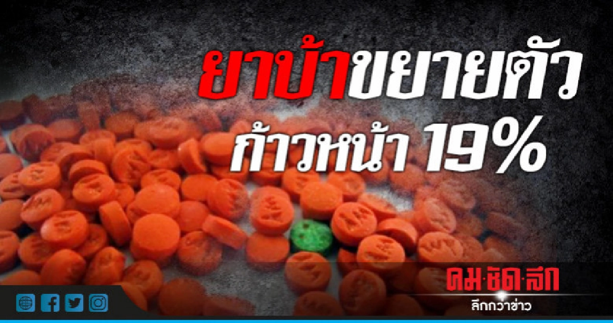 ยาบ้าขยายตัวก้าวหน้า 19% ยาบ้าขยายตัวก้าวหน้า 19%