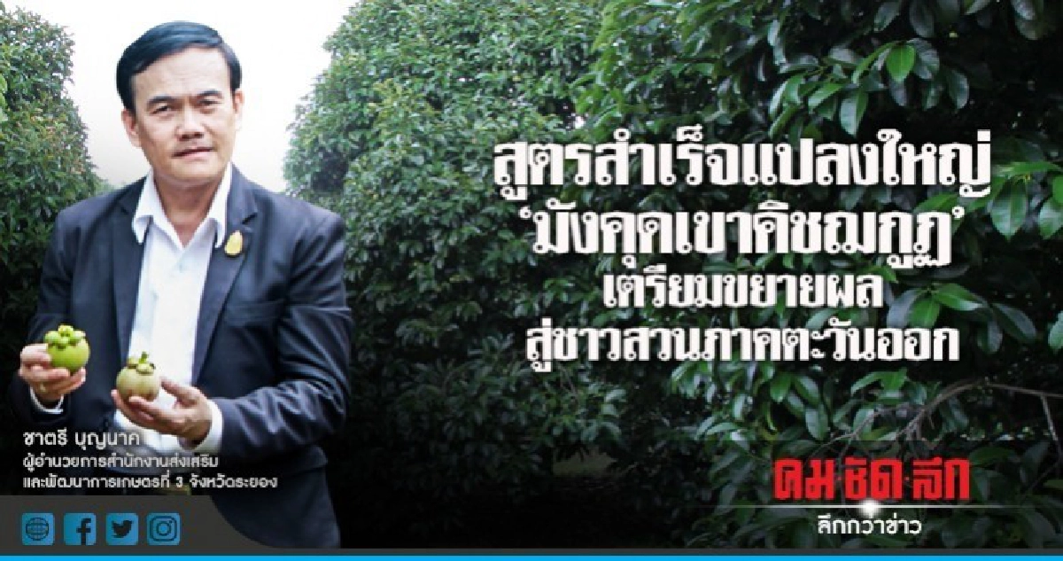 สูตรสำเร็จแปลงใหญ่"มังคุดเขาคิชฌกูฏ" สูตรสำเร็จแปลงใหญ่"มังคุดเขาคิชฌกูฏ"