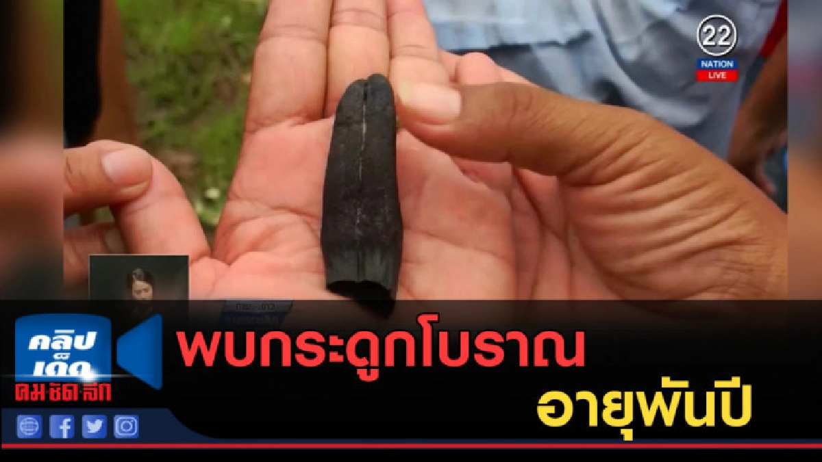 (คลิปข่าว) พบกระดูกช้างป่าโบราณอายุพันปี เพิ่มอีก 4 ชิ้น (คลิปข่าว) พบกระดูกช้างป่าโบราณอายุพันปี เพิ่มอีก 4 ชิ้น