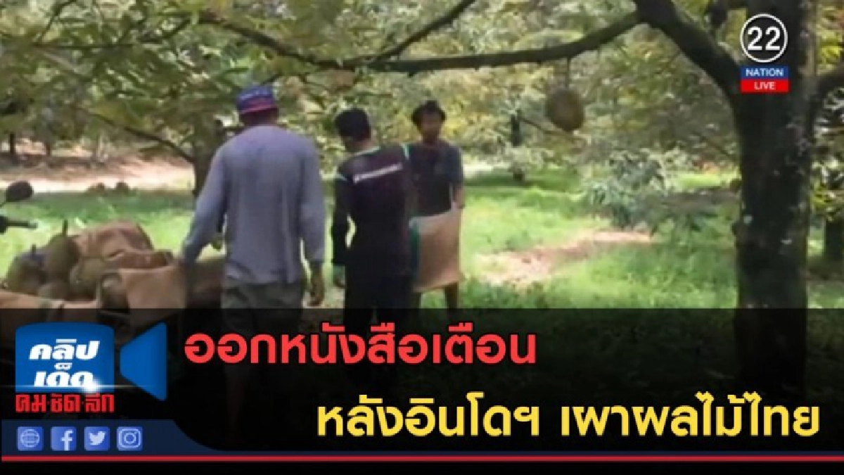 (คลิปข่าว) ออกหนังสือเตือน หลังอินโดฯ เผาผลไม้ไทย (คลิปข่าว) ออกหนังสือเตือน หลังอินโดฯ เผาผลไม้ไทย