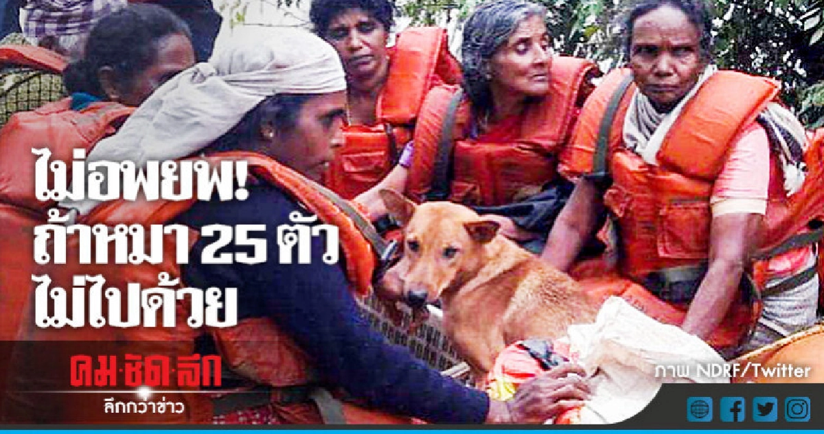 สตรีอินเดียไม่ยอมอพยพหนีน้ำท่วมโดยไม่มีสุนัข 25 ตัว สตรีอินเดียไม่ยอมอพยพหนีน้ำท่วมโดยไม่มีสุนัข 25 ตัว