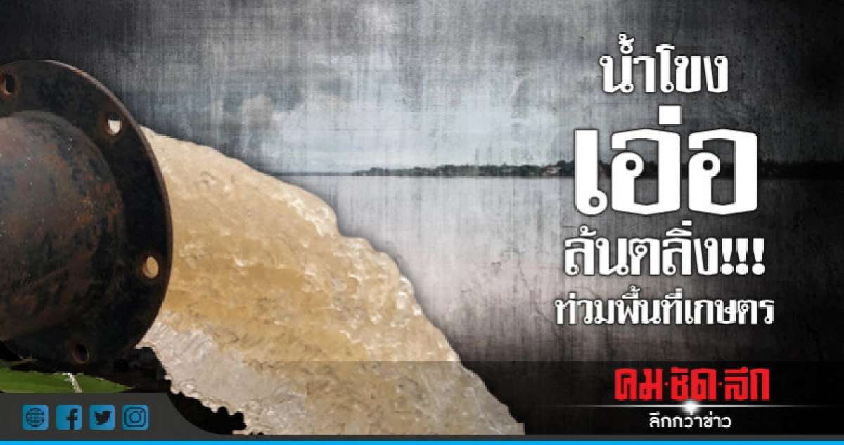 น้ำโขงเอ่อล้นตลิ่ง!!เข้าท่วมบ้าน-พื้นที่เกษตร น้ำโขงเอ่อล้นตลิ่ง!!เข้าท่วมบ้าน-พื้นที่เกษตร