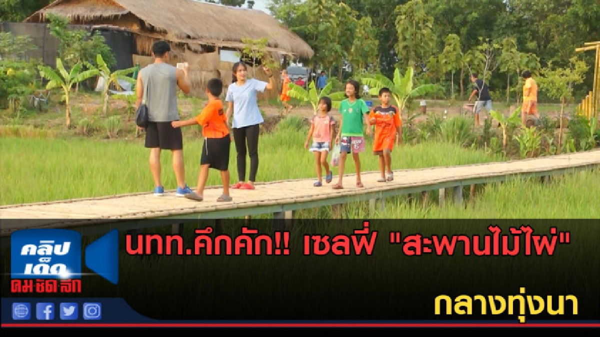(คลิปข่าว) นทท.คึกคัก!! เซลฟี่ "สะพานไม้ไผ่" กลางทุ่งนา