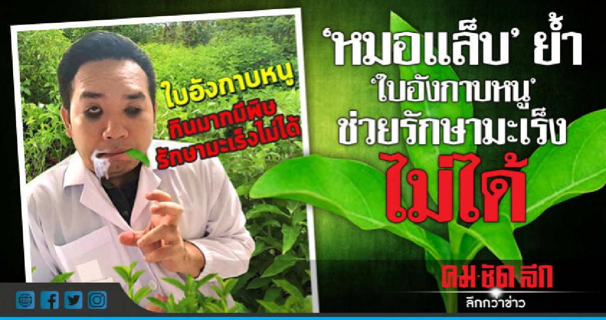 "หมอแล็บ" บอกย้ำชัด! 'ใบอังกาบหนู' ช่วยรักษามะเร็งไม่ได้ "หมอแล็บ" บอกย้ำชัด! 'ใบอังกาบหนู' ช่วยรักษามะเร็งไม่ได้