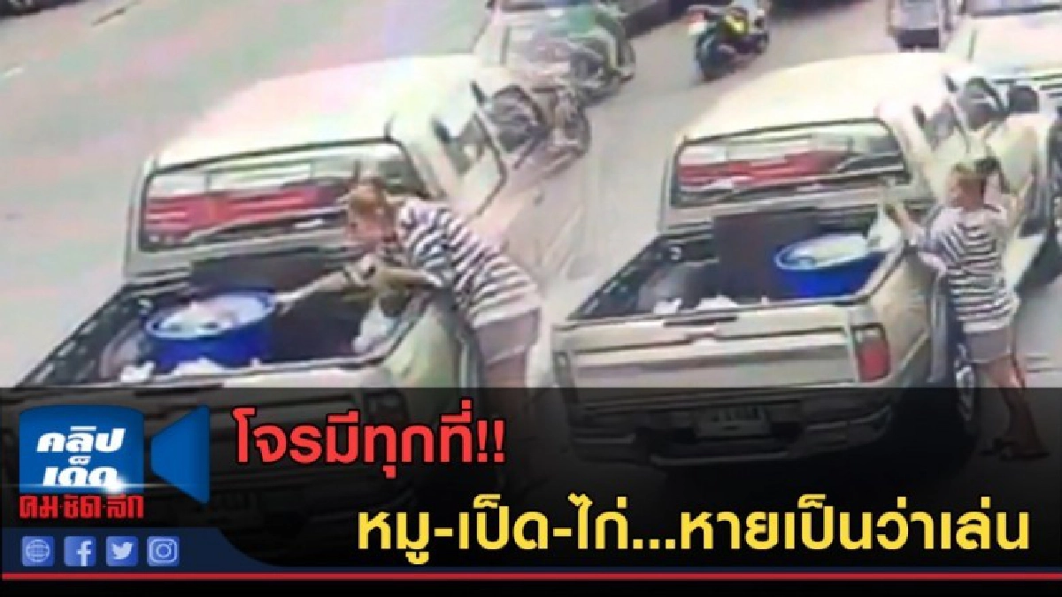 (คลิปข่าว) โจรมีทุกที่ หมู-เป็ด-ไก่...หายเป็นว่าเล่น (คลิปข่าว) โจรมีทุกที่ หมู-เป็ด-ไก่...หายเป็นว่าเล่น