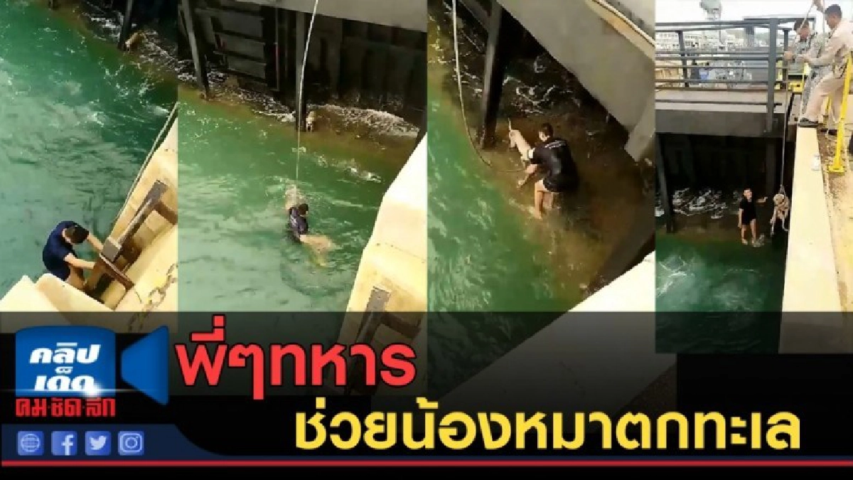 (คลิปข่าว) พี่ๆทหาร ช่วยน้องหมาตกทะเล