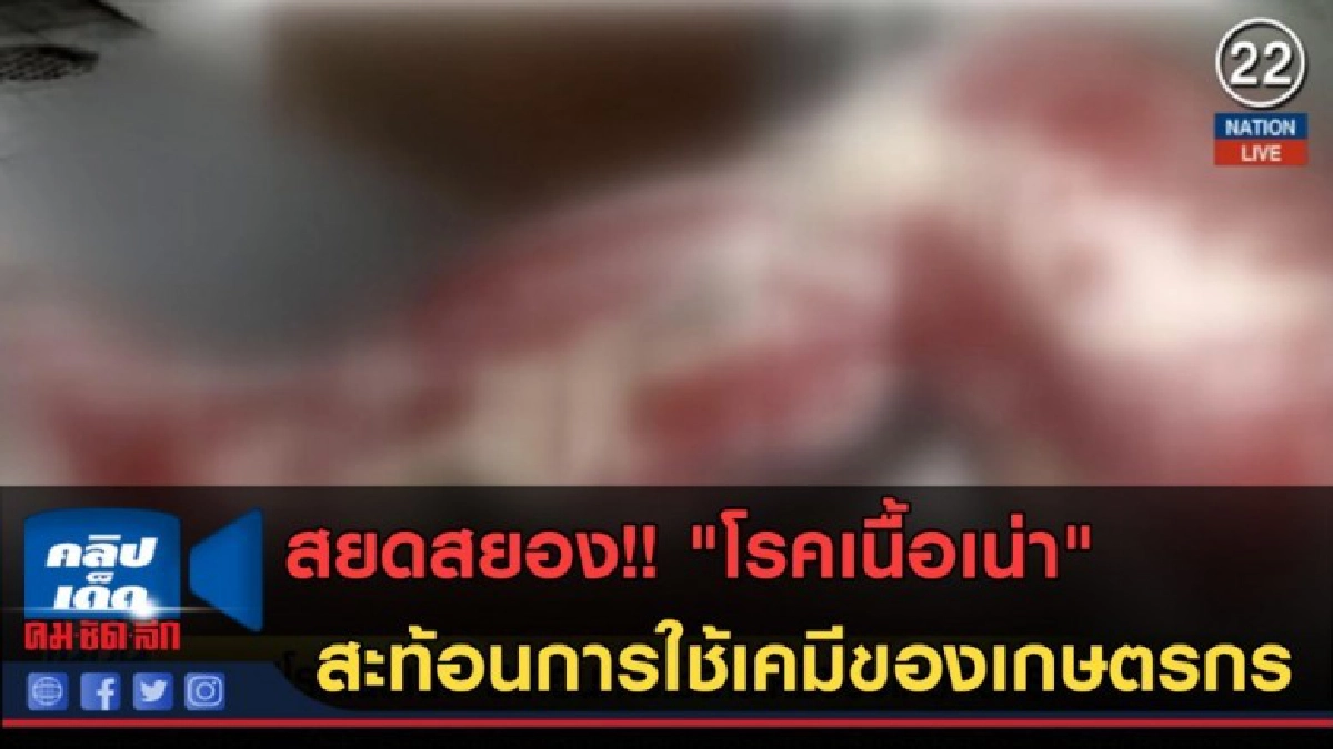 (คลิปข่าว) "โรคเนื้อเน่า" สะท้อนการใช้สารเคมีของเกษตรกร