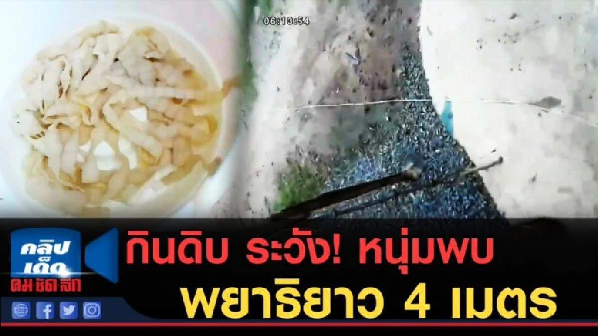 (คลิปข่าว) สยอง! หนุ่มพบพยาธิยาว 4 เมตร คนกินดิบ ระวัง! (คลิปข่าว) สยอง! หนุ่มพบพยาธิยาว 4 เมตร คนกินดิบ ระวัง!