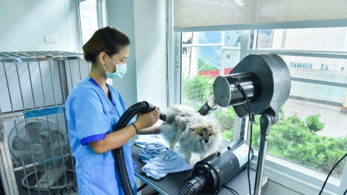 รพส.ทองหล่อยกระดับบริการสู่"เมดิคัล กรูมมิ่ง" ​