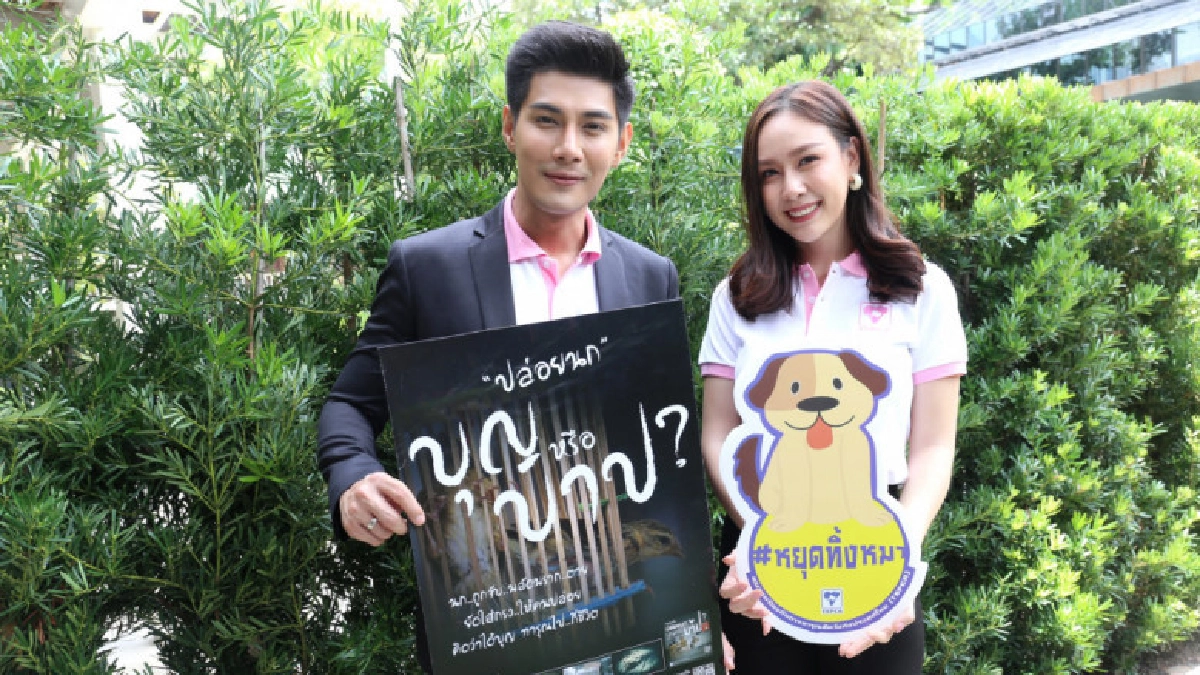 'มังกร-ฝ้าย' ชวนรักสัตว์ไม่ปล่อย 'มังกร-ฝ้าย' ชวนรักสัตว์ไม่ปล่อย