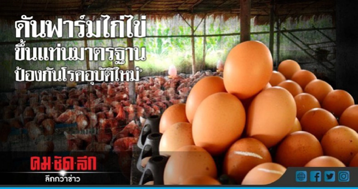 "ยกระดับ"ฟาร์มไก่ไข่สู่มาตรฐานป้องกันโรคอุบัติใหม่ "ยกระดับ"ฟาร์มไก่ไข่สู่มาตรฐานป้องกันโรคอุบัติใหม่
