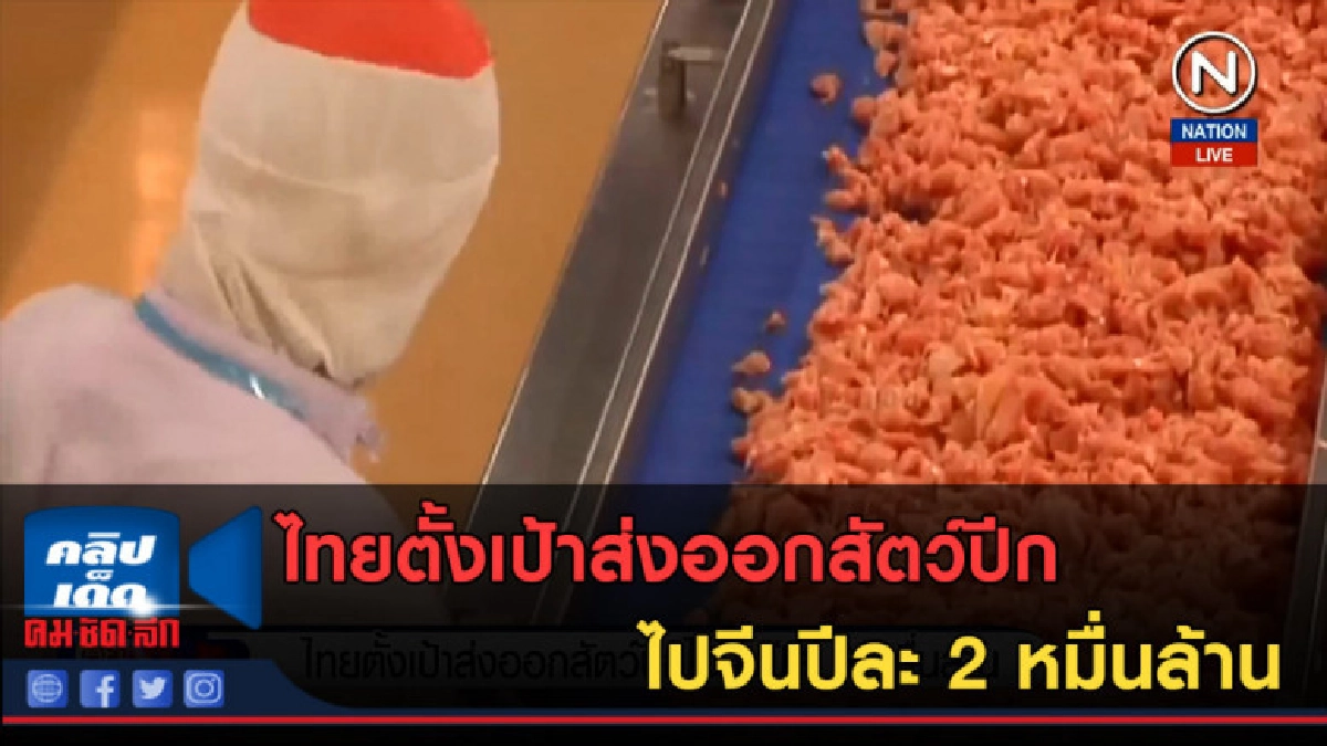 (คลิปข่าว) ไทยตั้งเป้าส่งออกสัตว์ปีกไปจีนปีละ 2 หมื่นล้าน
