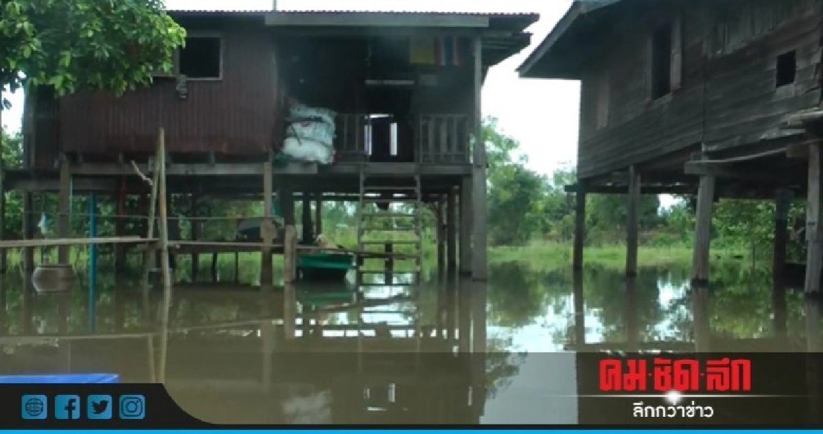 พิจิตรน้ำสะสมท่วมบ้านในพื้นที่ลุ่มต่ำ พิจิตรน้ำสะสมท่วมบ้านในพื้นที่ลุ่มต่ำ