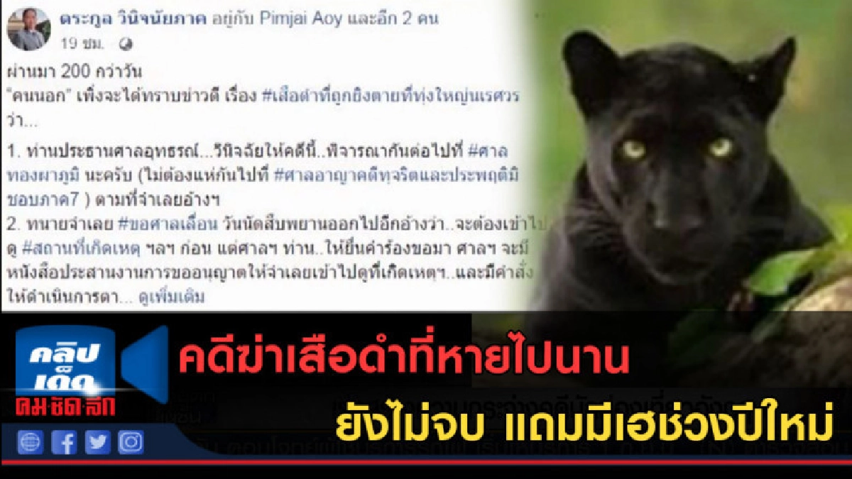 (คลิปข่าว) คดีฆ่าเสือดำ มีเฮช่วงปีใหม่ (คลิปข่าว) คดีฆ่าเสือดำ มีเฮช่วงปีใหม่