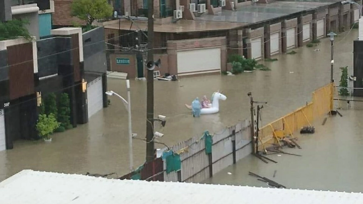 ภาพน่ารักจากชาวเน็ตไต้หวัน"ยูนิคอร์นกลางน้ำท่วม"