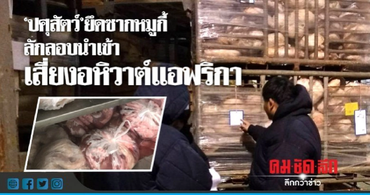 "ปศุสัตว์"ยึดซากหมูกี้ลักลอบนำเข้า "ปศุสัตว์"ยึดซากหมูกี้ลักลอบนำเข้า