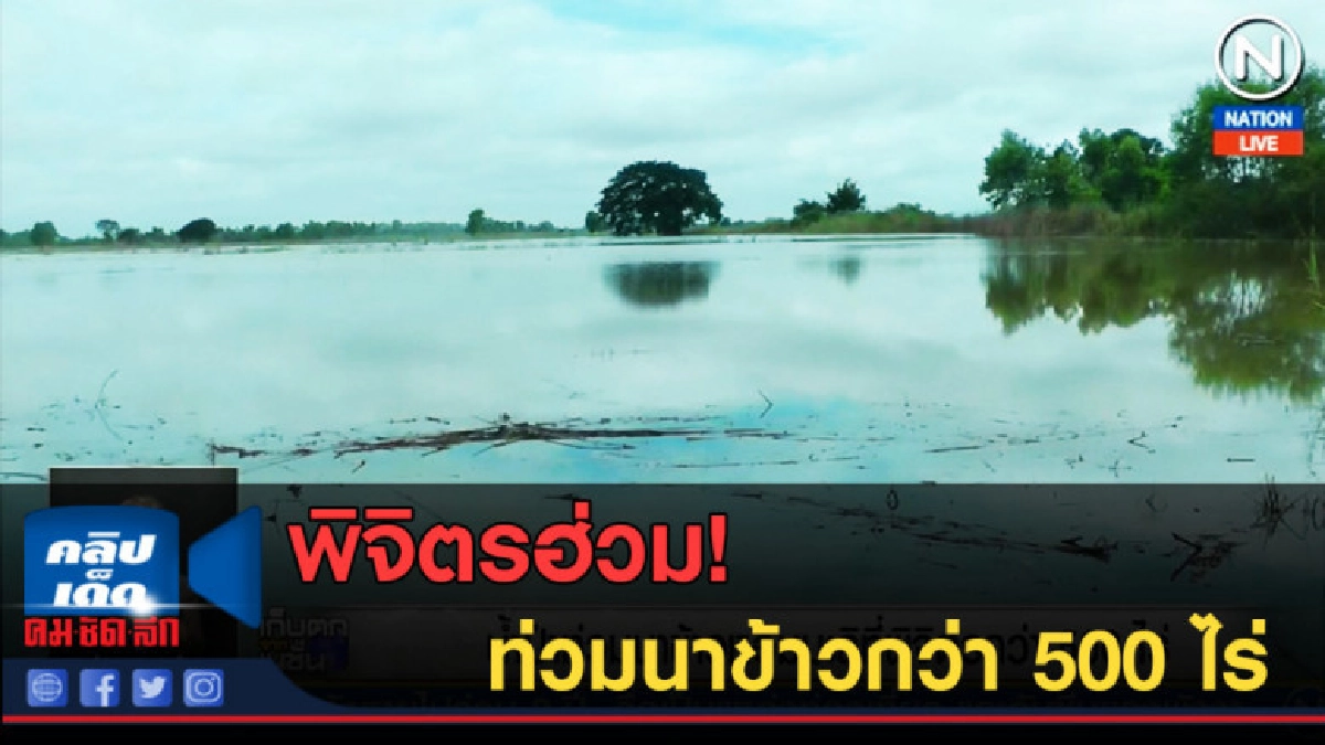 (คลิปข่าว) พิจิตรฮ่วม! น้ำป่าเอ่อท่วมนาข้าว กว่า 500 ไร่ (คลิปข่าว) พิจิตรฮ่วม! น้ำป่าเอ่อท่วมนาข้าว กว่า 500 ไร่