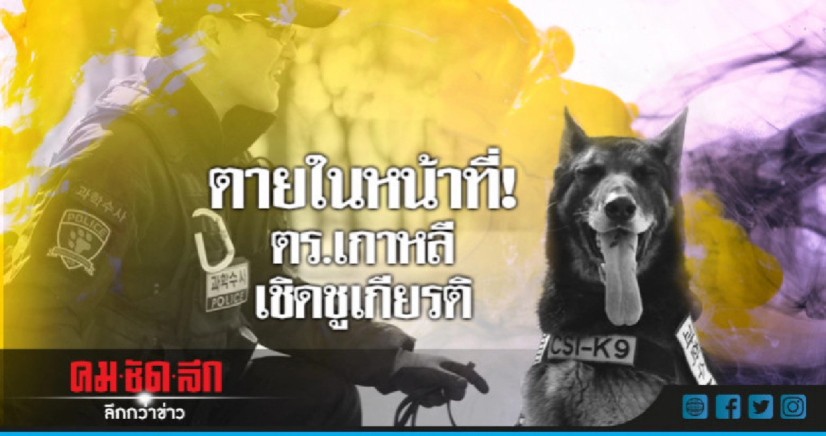ตำรวจเกาหลีใต้เตรียมจัดพิธียกย่องสุนัขตายในหน้าที่ตัวแรก  