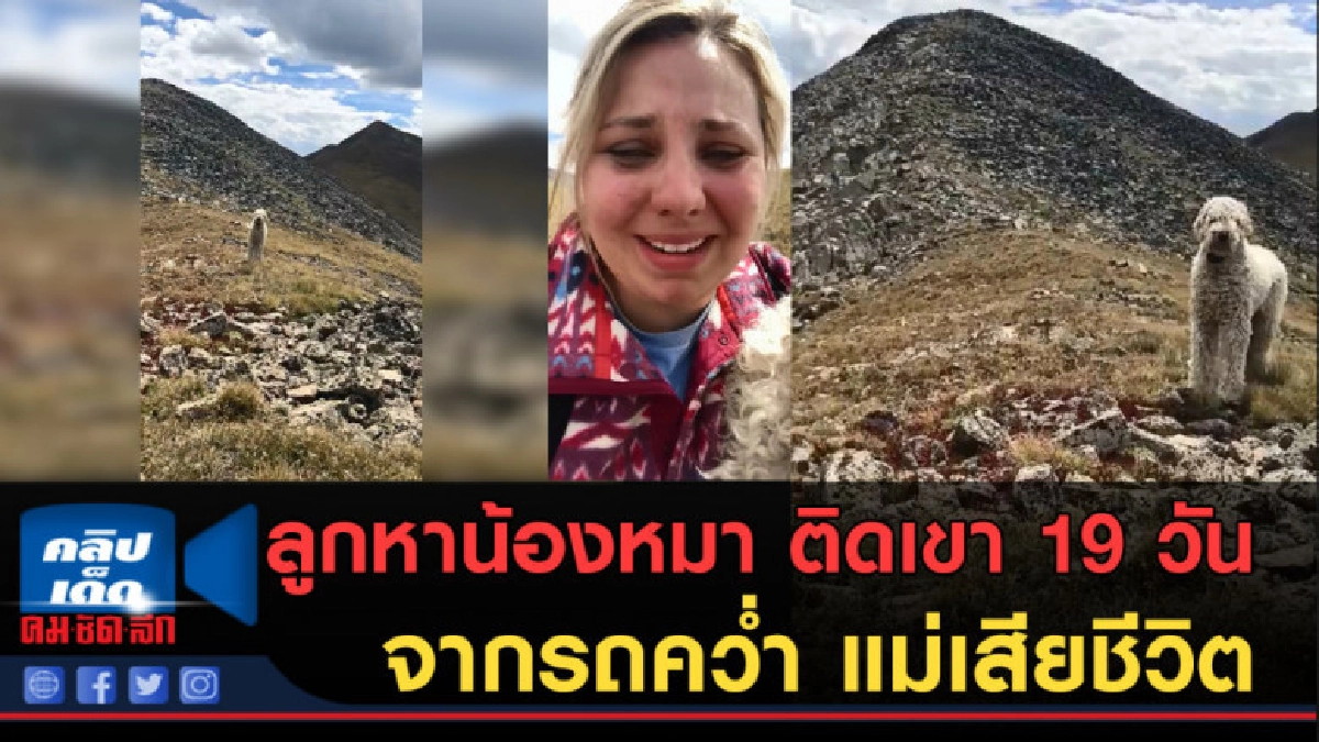 (คลิปข่าว) ลูกสาวออกตามหา น้องหมา จากเหตุรถตกเขา เเม่ดับ (คลิปข่าว) ลูกสาวออกตามหา น้องหมา จากเหตุรถตกเขา เเม่ดับ