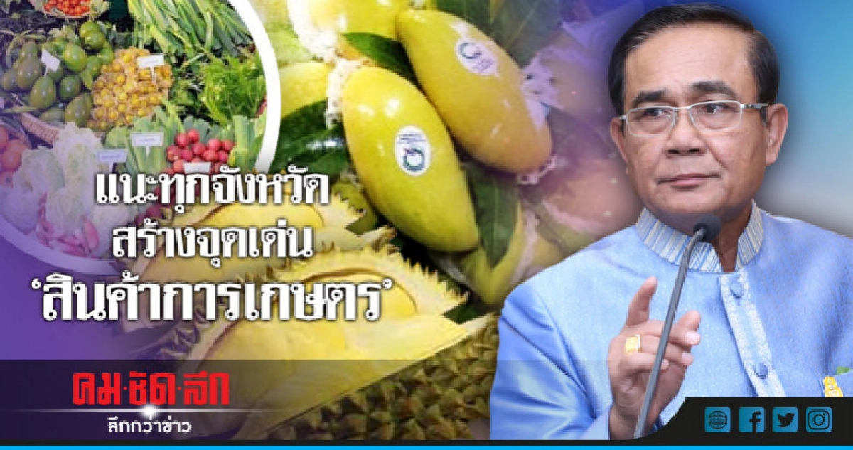 นายกฯ แนะทุกจังหวัดสร้างจุดเด่นสินค้าเกษตร นายกฯ แนะทุกจังหวัดสร้างจุดเด่นสินค้าเกษตร