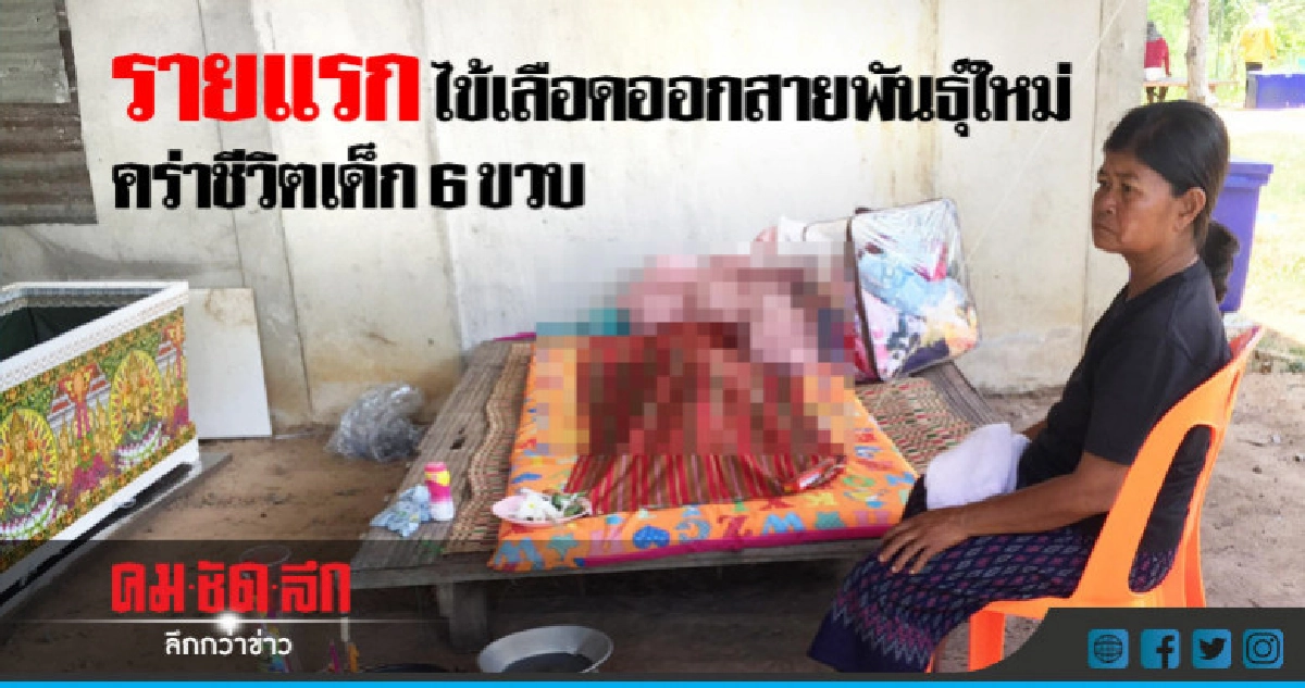 รายแรก ไข้เลือดออกสายพันธุ์ใหม่คร่าชีวิตเด็กหญิง 6 ขวบ