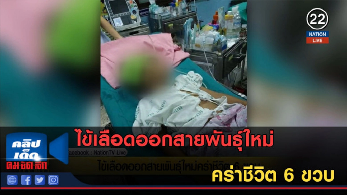 (คลิปข่าว) ไข้เลือดออกสายพันธุ์ใหม่ คร่าชีวิต 6 ขวบ (คลิปข่าว) ไข้เลือดออกสายพันธุ์ใหม่ คร่าชีวิต 6 ขวบ
