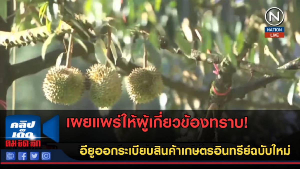 (คลิปข่าว) อียูออกระเบียบสินค้าเกษตรอินทรีย์ฉบับใหม่ (คลิปข่าว) อียูออกระเบียบสินค้าเกษตรอินทรีย์ฉบับใหม่