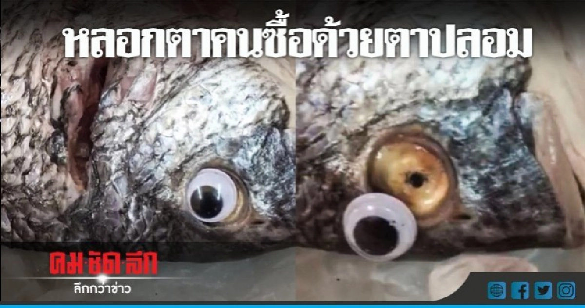 ช่างคิดจนโดนปิดร้าน-พ่อค้าคูเวตติดตาปลอมให้ปลาดูสด 