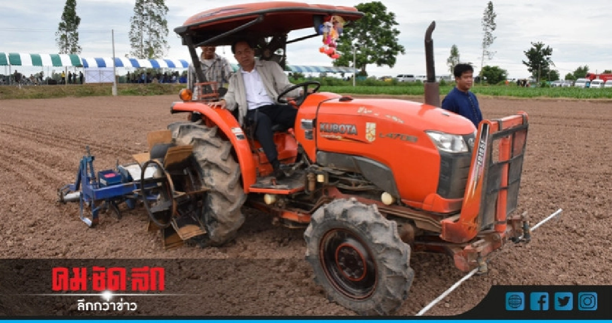 นำร่องอำเภอพิชัยปลูกข้าวโพดเลี้ยงสัตว์ในฤดูนาปรัง 6,000 ไร่