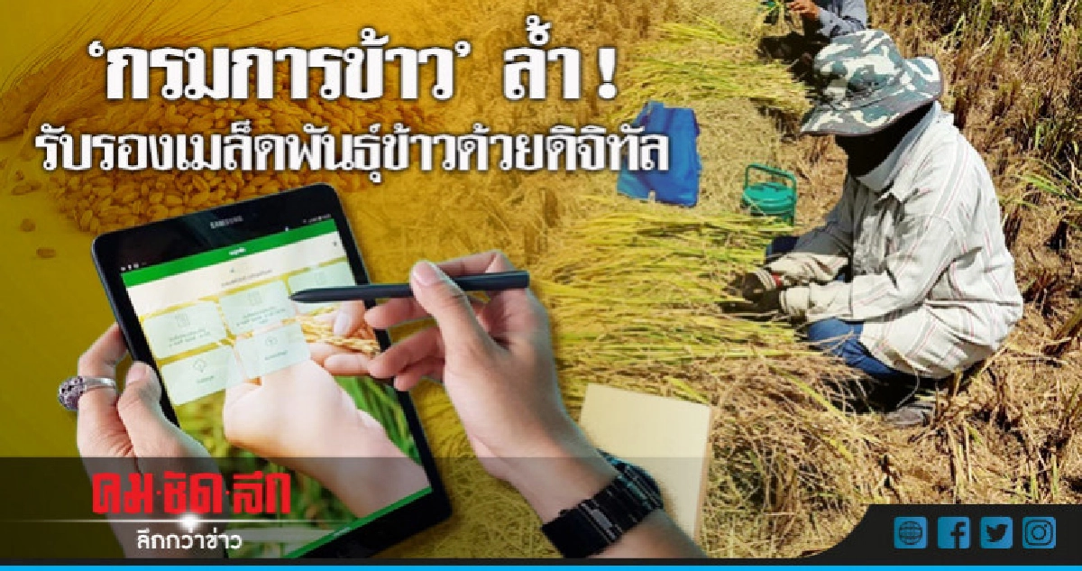 ก้าวใหม่ ! "กรมการข้าว" รับรองเมล็ดพันธุ์ข้าวด้วยดิจิทัล ก้าวใหม่ ! "กรมการข้าว" รับรองเมล็ดพันธุ์ข้าวด้วยดิจิทัล