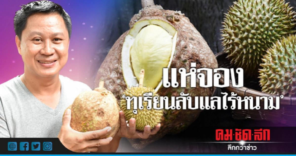 ฮือฮา!!นวัตกรรมใหม่"ทุเรียนลับแลไร้หนาม" ฮือฮา!!นวัตกรรมใหม่"ทุเรียนลับแลไร้หนาม"