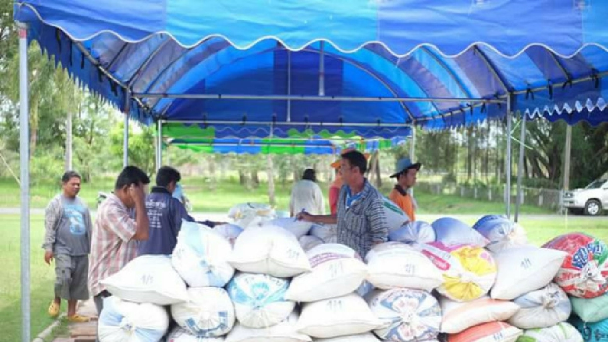  ชาวนาลำโดมน้อย ตั้งกองทุนจัดการค่าสูบน้ำเอง